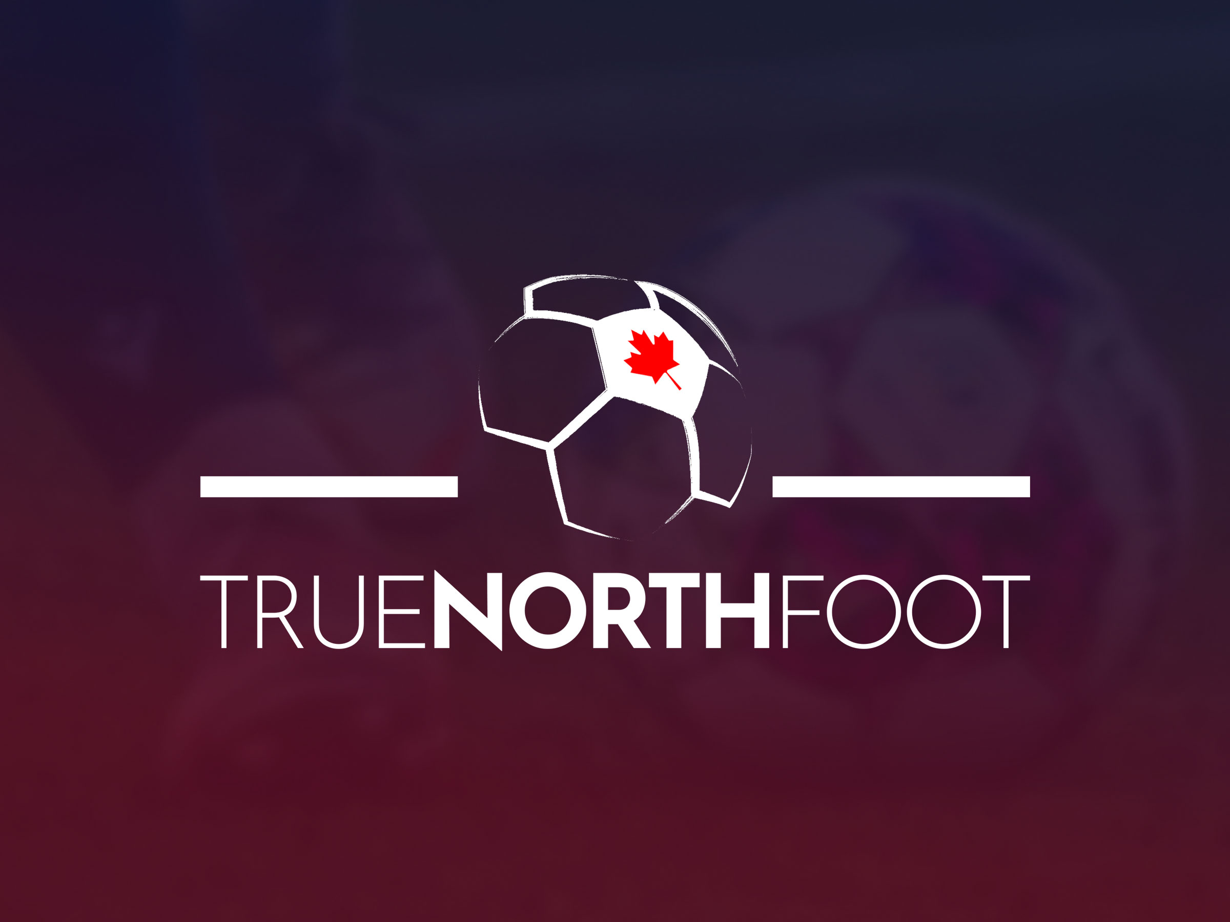 TrueNorthFoot is looking for contributors